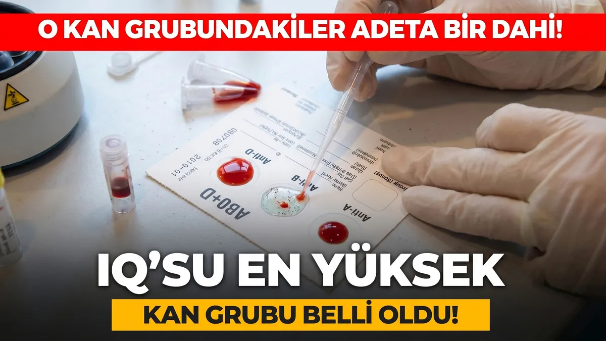 En zekiler o kan grubundanmış! Japon bilim insanlarından "IQ'su en yüksek kan grubu" teorisi!