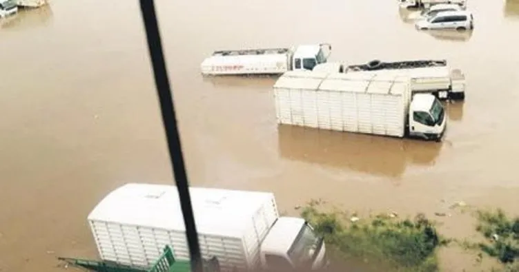 Seller yüzünden 169 kişi öldü