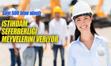Seferberlikle 500 bin kişi işbaşı yaptı