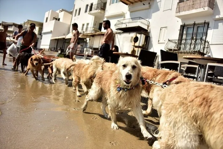 Bodrum’un Golden Çetesi.