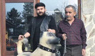Ahşap oyma ustasından ‘kangal’ heykeli #sivas