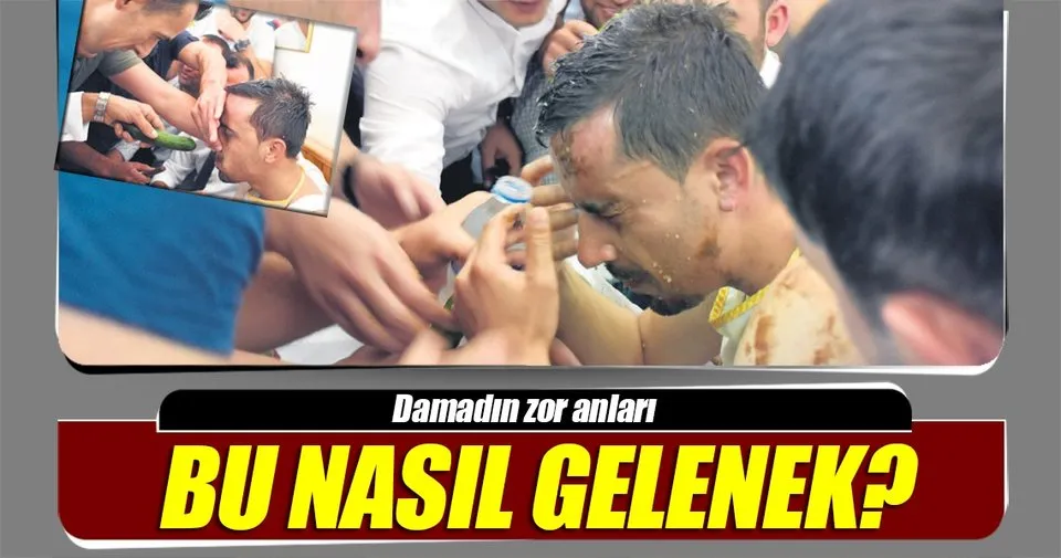 kedi ve salatalık