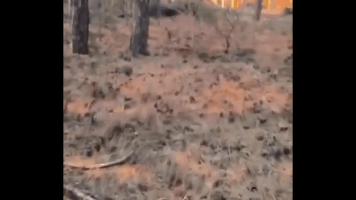 Eskişehir’deki yangın faciasında korkunç görüntüler! Acil kodla böyle yardım istemişler Eskişehir’deki yangın faciasında korkunç görüntüler! Acil kodla böyle yardım istemişler