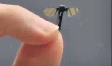 Çin’de sivrisinek boyutunda keşif İHA’sı