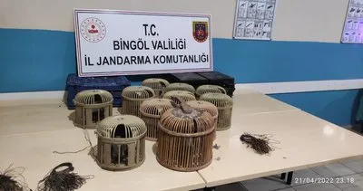 Bingöl’de keklik avcılığı yapan 6 kişiye para cezası kesildi