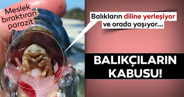 Daha önce görmediğiniz en garip canlılar