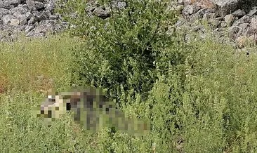 Ot toplamak için antik kente çıkmıştı: Kayalıklardan düşerek can verdi! #burdur