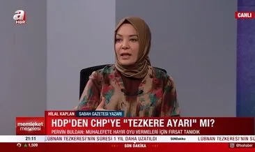 Hilal Kaplan’dan Suriye-Irak tezkeresine ’Hayır’ oyu veren CHP’ye tepki: HDP’nin elinde rehin bir partidir