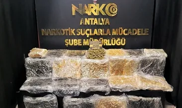 Zehir tacirlerine geçit yok