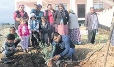 Rokete, zeytin fidanıyla cevap