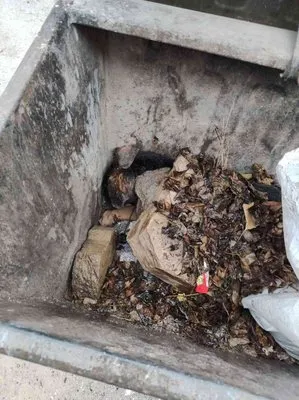 Sokak köpeğini çöpe atarak öldüresiye ezen cani serbest bırakıldı