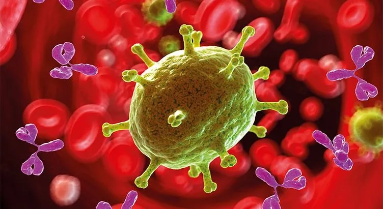 Hepatit C tedavi edilmezse karaciğer kanserine yol açabilir