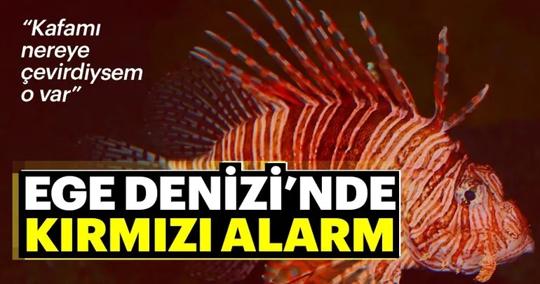 Ege Denizi’nde kırmızı alarm