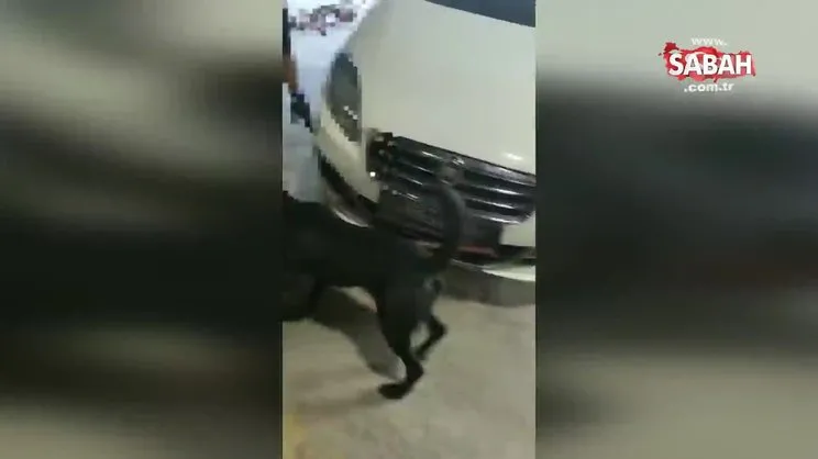 Zulalı araç yakalandı, 12 kilo 800 gram uyuşturucu çıktı | Video