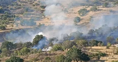 Tunceli’deki yangın yerleşim yerine sıçramadan söndürüldü #tunceli