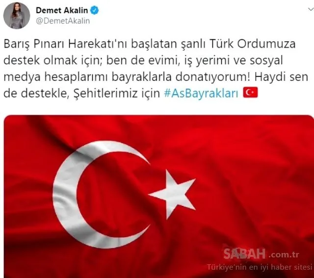 Barış Pınarı Harekatı’na Demet Akalın’dan anlamlı destek! Demet Akalın konserinin tüm gelirini bağışladı!