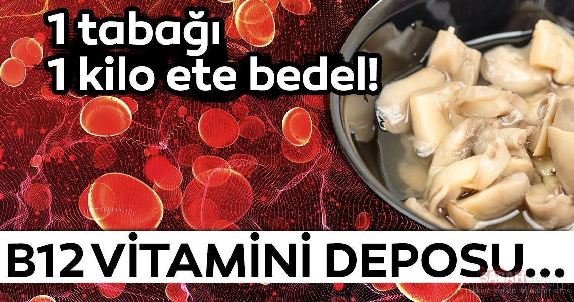 B12 Vitamini Eksikligi Neden Olur Iste B12 Vitamini Bulunduran Besinler Ve B12 Vitamininin Faydalari Son Dakika Haberler