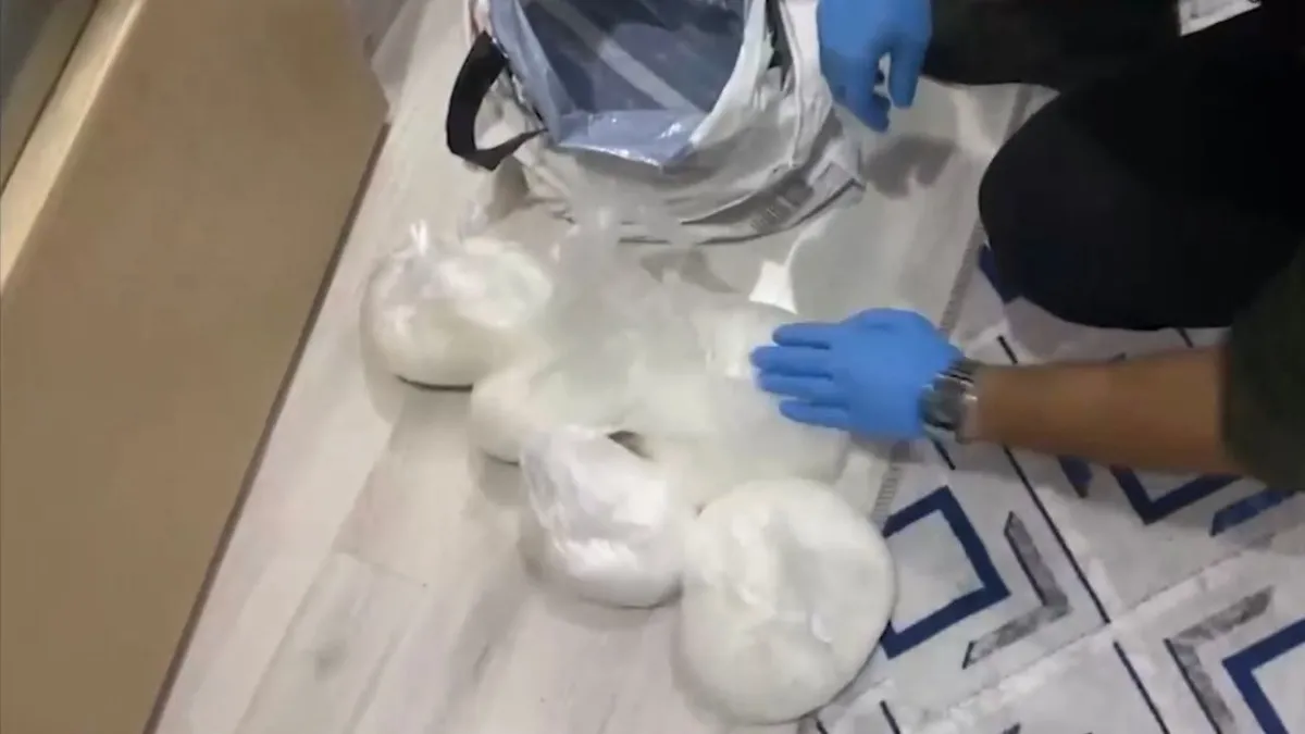 On binlerce hapla yakaladılar