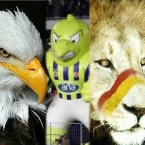 Türk takımlarının lakapları ve logolarının anlamları