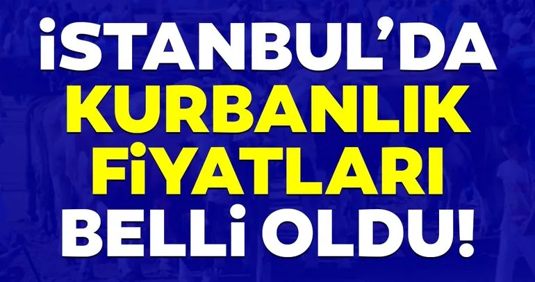 İstanbul’da kurbanlık fiyatları belli oldu!