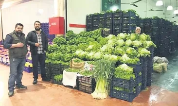 Koçaklar Tarım ihracat hazırlığında