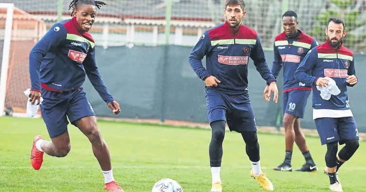 Kanarya avına çıktı