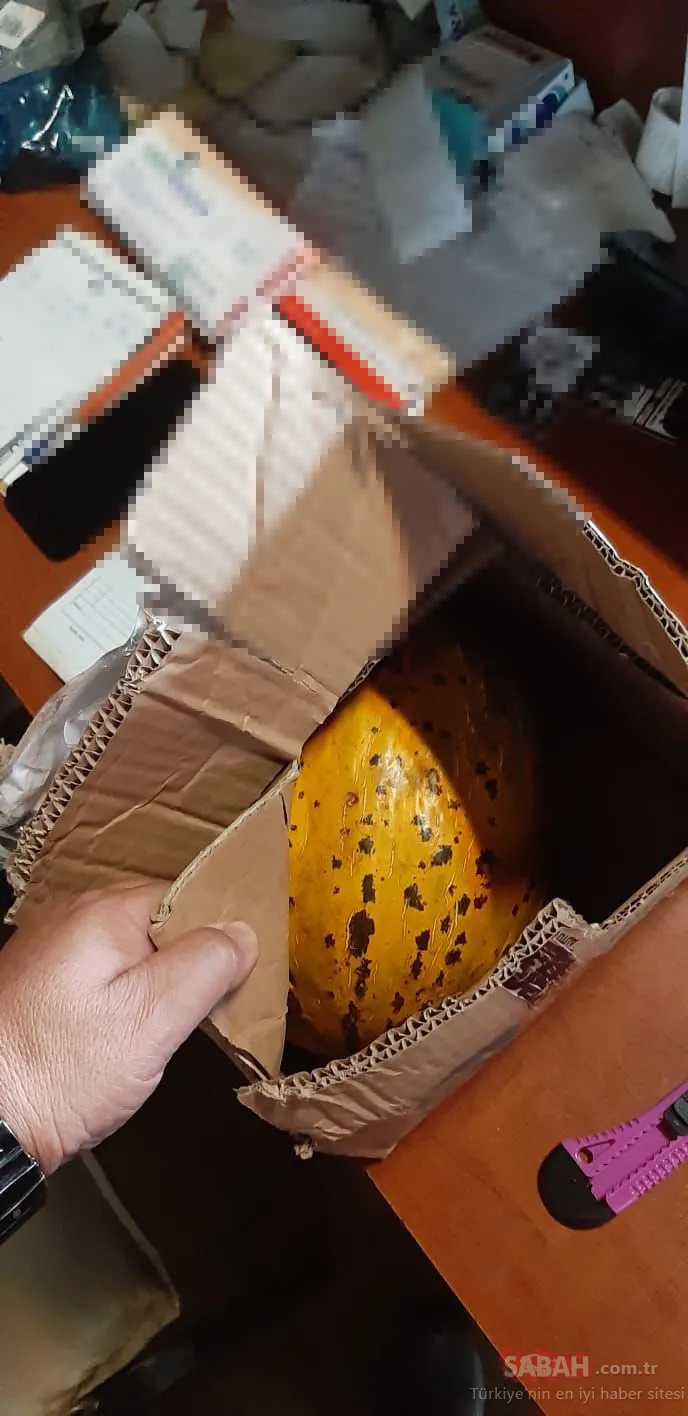 Bin 800 liralık kavun! 'Hayatımda yediğimin en pahalısıydı'