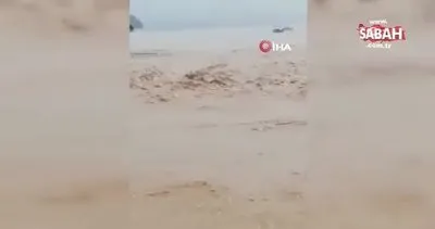 Antalya’da şiddetli yağış hayatı felç etti! Araçlar selde sürüklendi: Korkunç görüntüler | Video