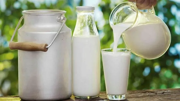 Süt ve Sarımsak kürü her derde deva!