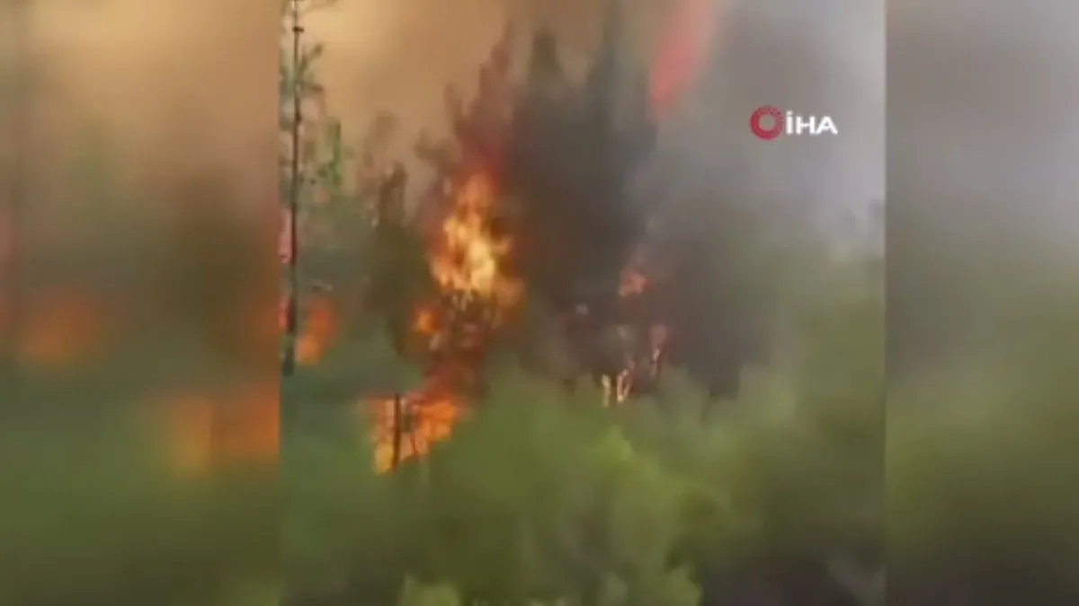 Orman yangınında itfaiyecilerin ölüm kalım savaşı: “Geri çık ağabey yanacağız” Orman yangınında itfaiyecilerin ölüm kalım savaşı: “Geri çık ağabey yanacağız”