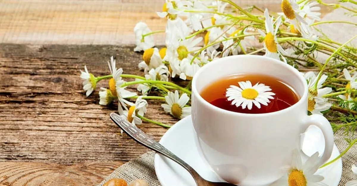 reflu bitkisel tedavisi nasil