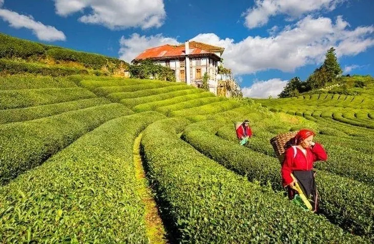 81 ilin gerçek nüfusu! Herkes memleketinde yaşasaydı illerin nüfusu ne kadar olurdu?