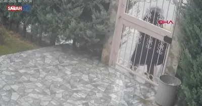 Ankara’da başıboş köpek dehşeti!