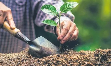 Sıradan insanın zor hayatı