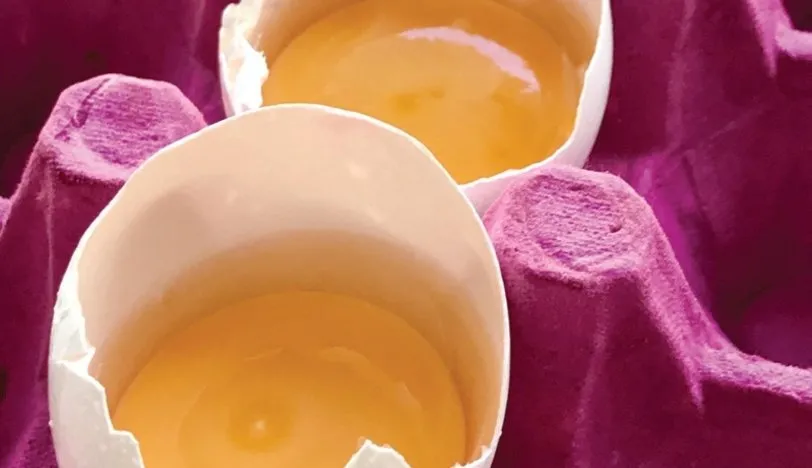 Yumurta ve Beslenme