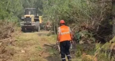 Zonguldak'ta orman yangını: Ekipler müdahale ediyor #zonguldak