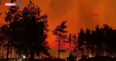 Fethiye’de orman yangını! | Video