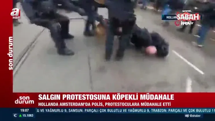 Hollanda’da polisten protestoculara “köpekli” müdahale | Video