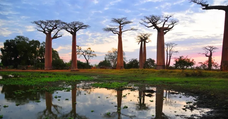 Madagaskar’a yolculuk