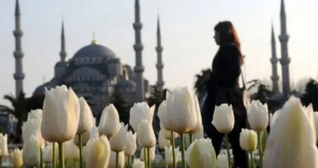 Çubuklu Korusu Nerede, Hangi İlçede? Çubuklu Korusu Yol Tarifi ile Nasıl Gidilir?