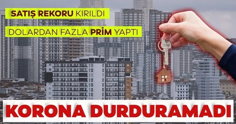 Koronaya inat ‘ev’lendik