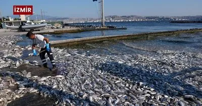 Özel’e tokat gibi cevap: “Bizi denizi foseptik çukuruna çeviren İzmir’le karıştırdı” #kocaeli