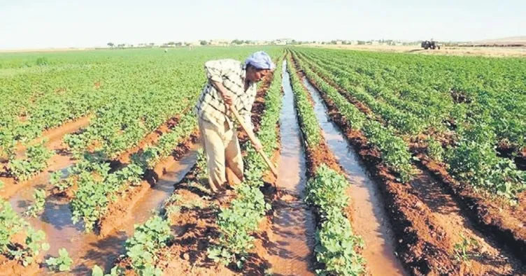 Üretim Bakanlığı kurulsun