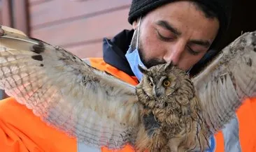 Kastamonu’da donmak üzereyken bulunan baykuş tedavi altına alındı