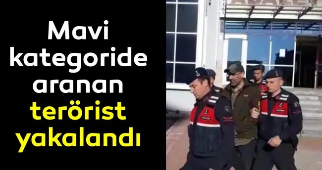 Mavi Kategorideki Terorist Yakalandi Son Dakika Haberler