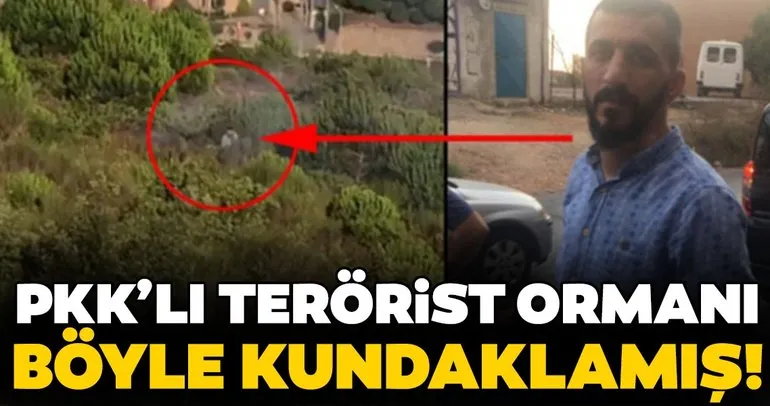 PKK ormanı böyle kundaklamış!