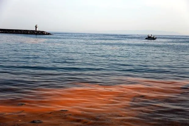 Marmara Denizi turuncuya büründü
