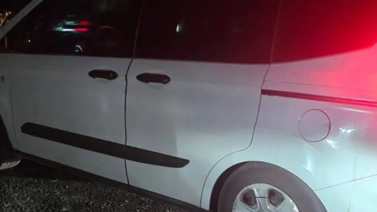 Otomobil sürüye çarptı! 20 koyun telef oldu Otomobil sürüye çarptı! 20 koyun telef oldu