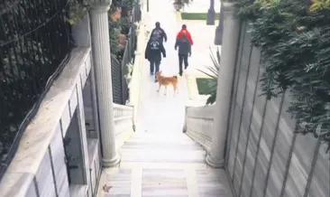 SBK’ya kara para operasyonu