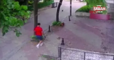 Merter’de şok eden kedi saldırısı kamerada | Video